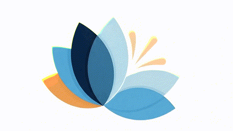 Incentive Compensation Animation